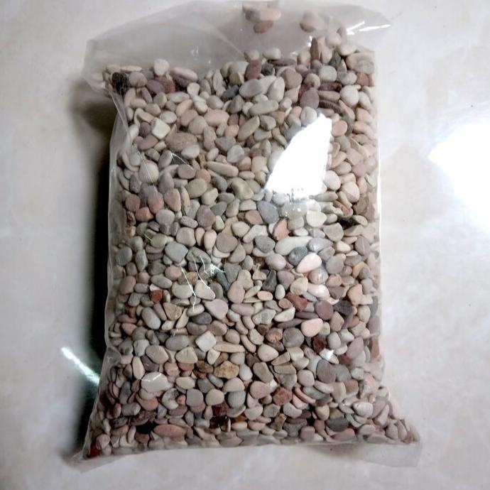 hanya disini] Batu Hias Koral Sikat Pancawarna Hiasan Pot Tanaman Taman Aquarium 1kg