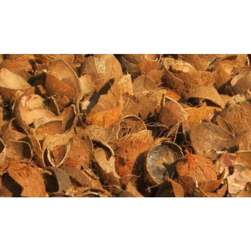 

tempurung / batok kelapa cacah kering untuk bakaran