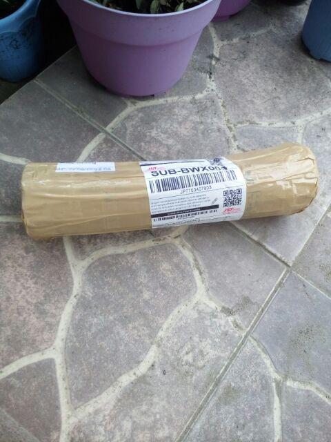 Paket Umbi Rain Lily Dan Sedap Malam