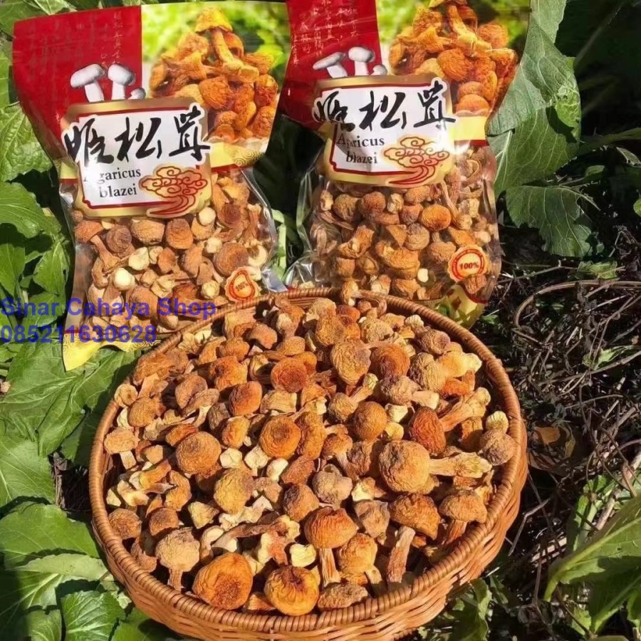 

Jamur Brazil kering Dried Agaricus Blazei 250g