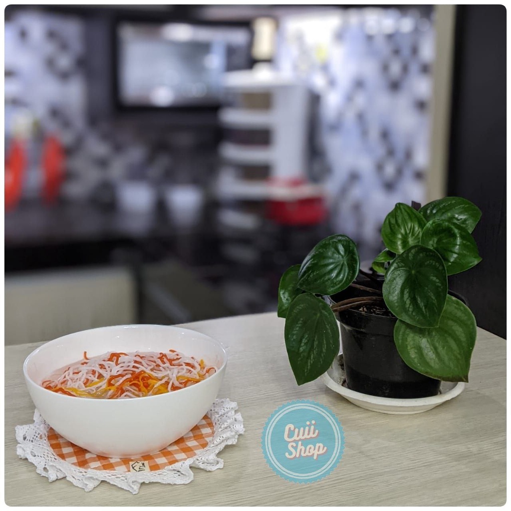 TATAKAN Anti Panas atau Dingin Unik Alas Gelas/Piring/Panci Bahan Kain Katun Polyester dilapisi Busa