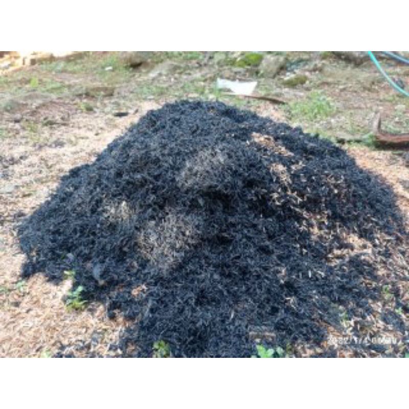 SEKAM BAKAR MURNI 1KG