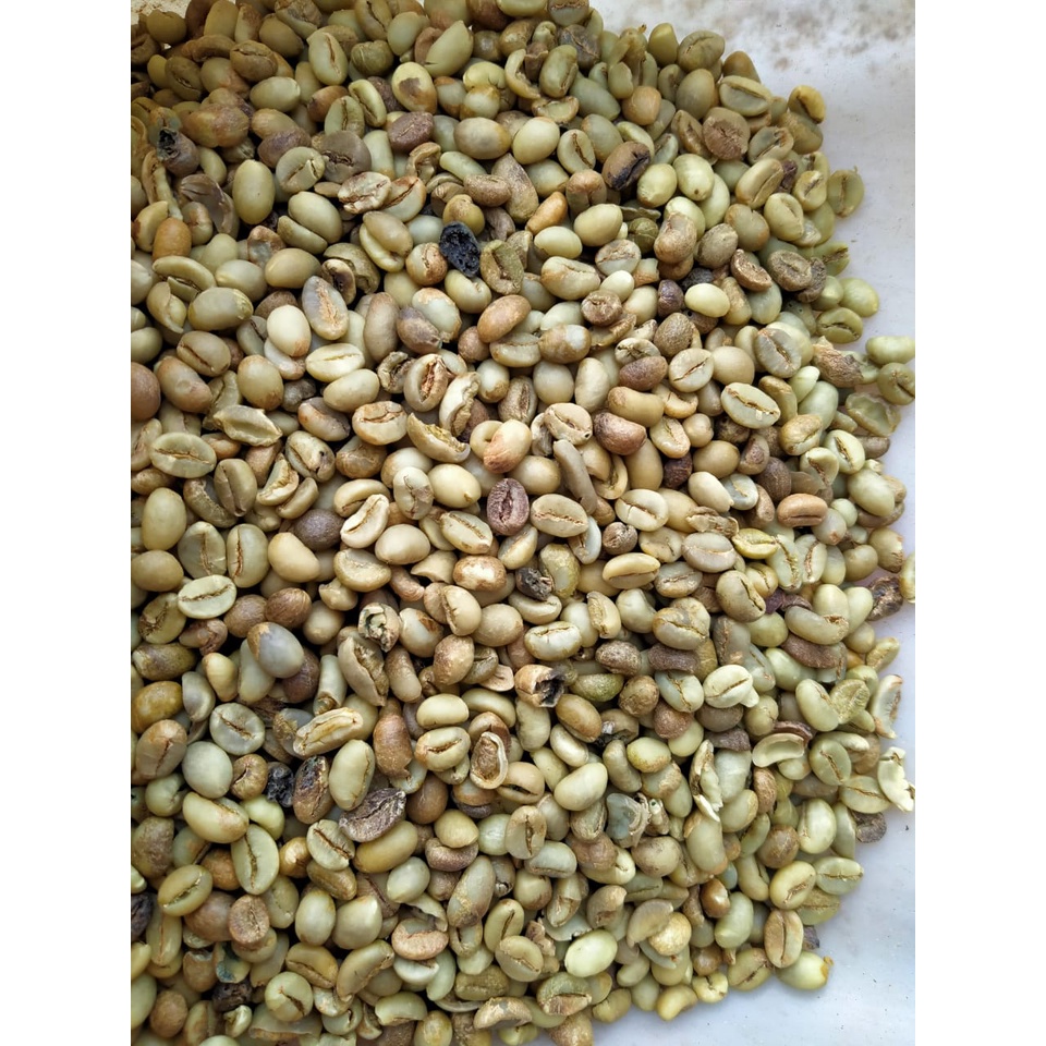 Jual Sujakopi Greenbean Robusta Dampit Biji Kopi Mentah 1kg Shopee Indonesia 8149