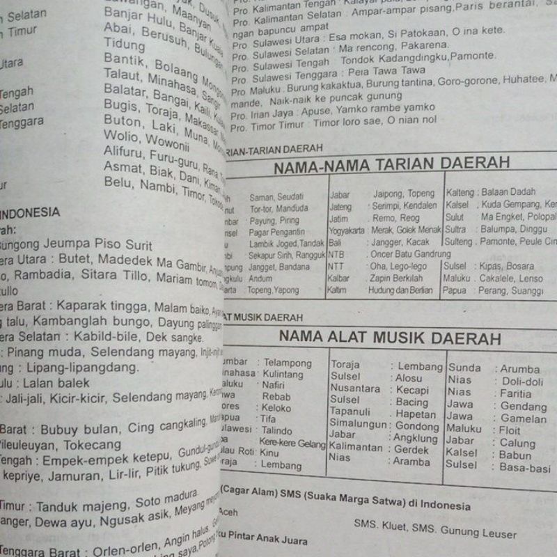 Buku Belajar Asyik Buku Pintar Anak Juara untuk Pelajar dan Umum