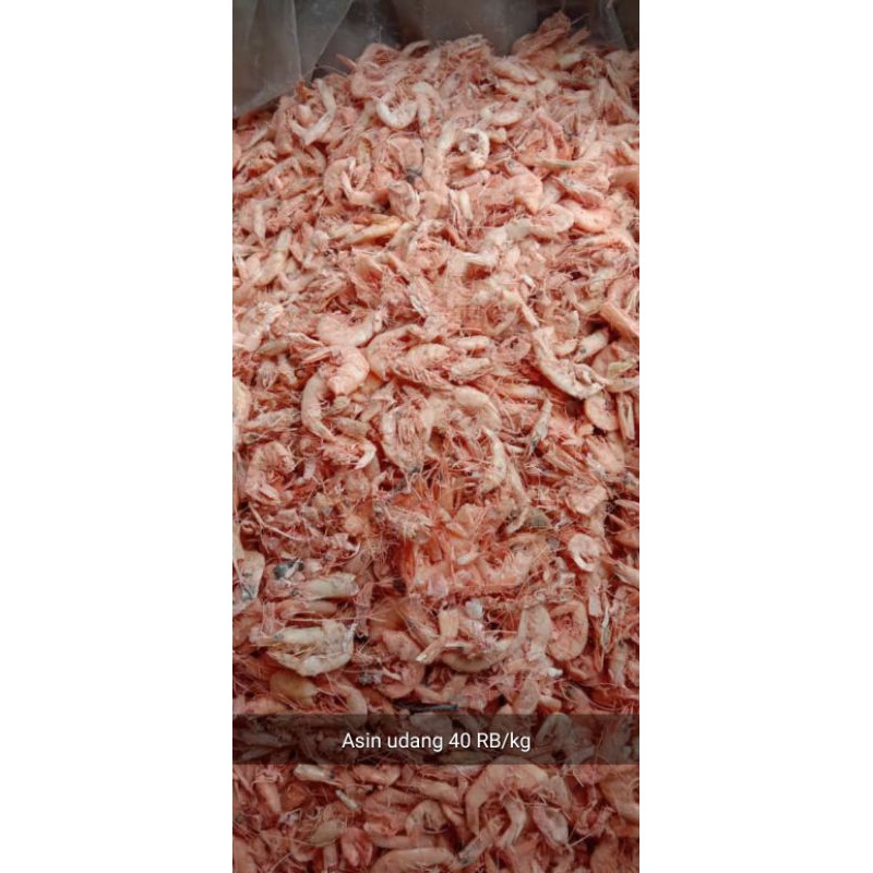 

IKAN ASIN UDANG/KG
