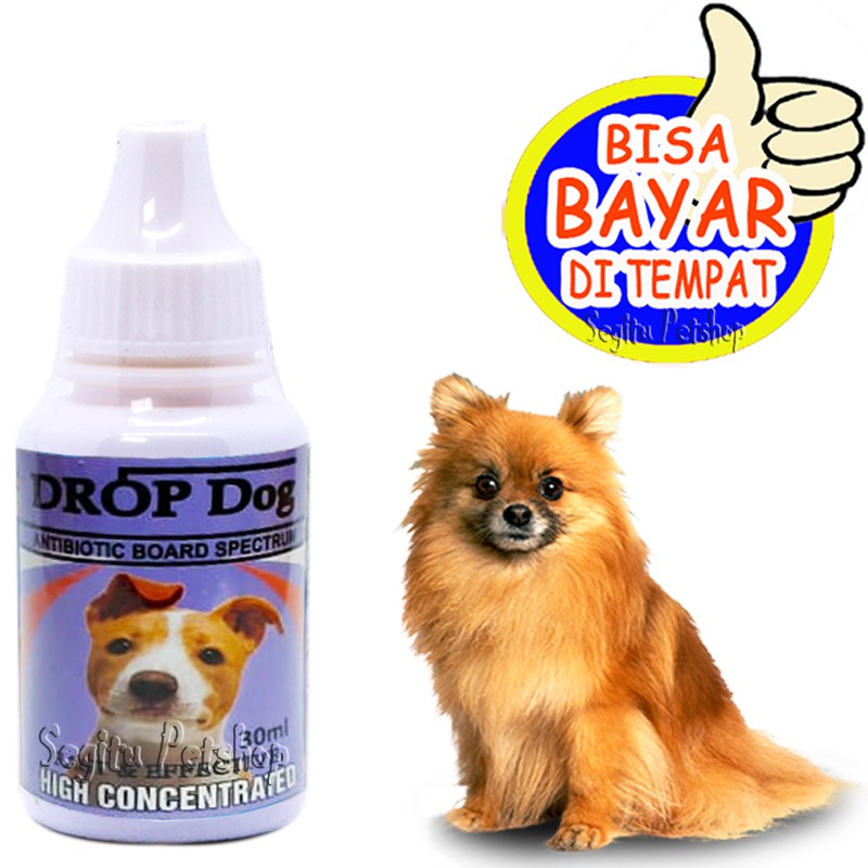 ANTIBIOTIK ANJING OBAT PUPPY SAKIT DEMAN PILEK DIARE DROP DOG