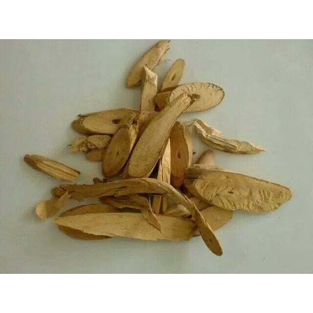 

100 G GR GRAM 忍冬藤 REN DONG TENG CAULIS LONICERAE HONEYSUCKLE STEM