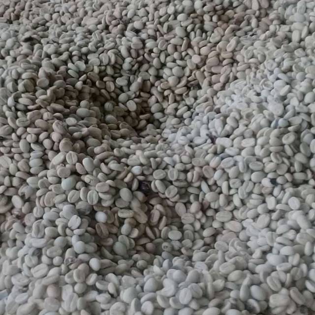 

Kopi toraja sapan