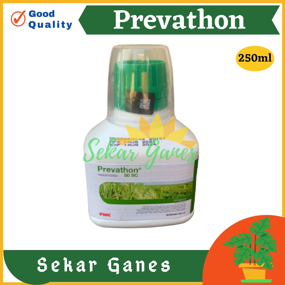 ORI INSEKTISIDA PREVATHON 50 SC 250 ML Obat Tanaman Pembasmi Hama Penggerek Batang Ulat Putih Obat Hama Tanaman Cabe Padi Tanaman Hias Buah Insektisida Sistemik Brofreya Ulat Grayak lalat Buah Ulat - Prevaton 50SC Termurah