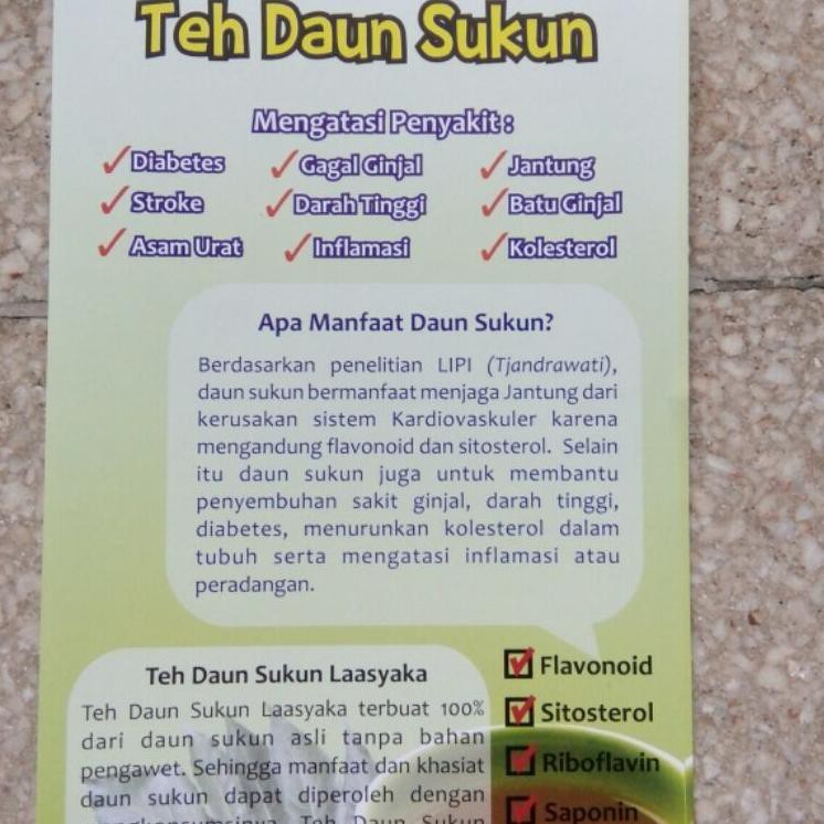 

Termurah Teh Daun Sukun