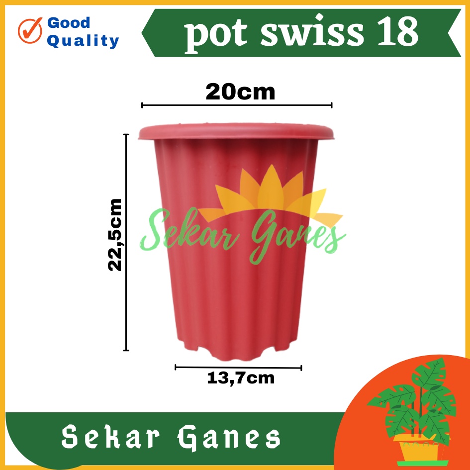 Sekarganes Pot Swiss 18 Putih  Pot Yogap 18 Putih Coklat Merah Bata Bening Transparan Pot Yogap 17 18 19 Pot Yogap Murah Pot Bunga Tinggi Pirus Tegak Bagus Tebal