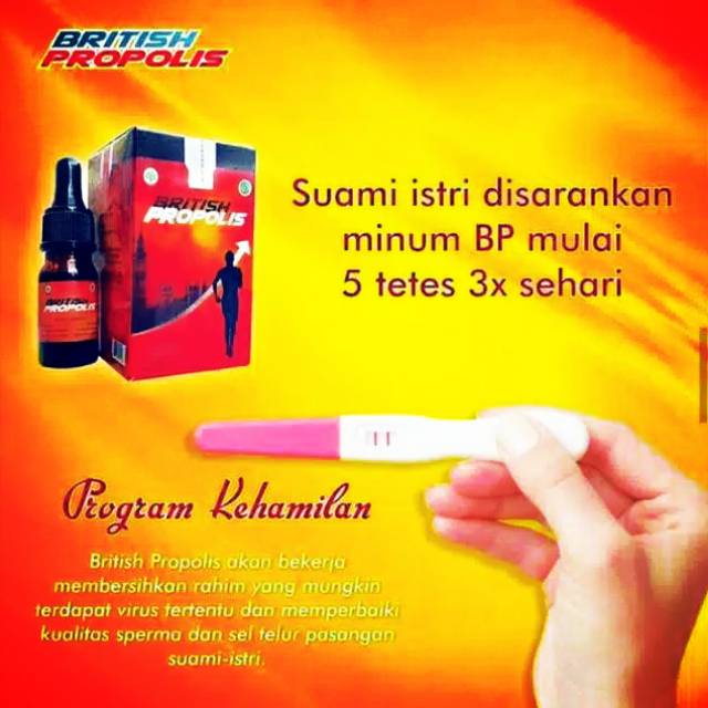 Testi BP Regular || Suplemen PROMIL || Perbaikan enzim & kesuburan