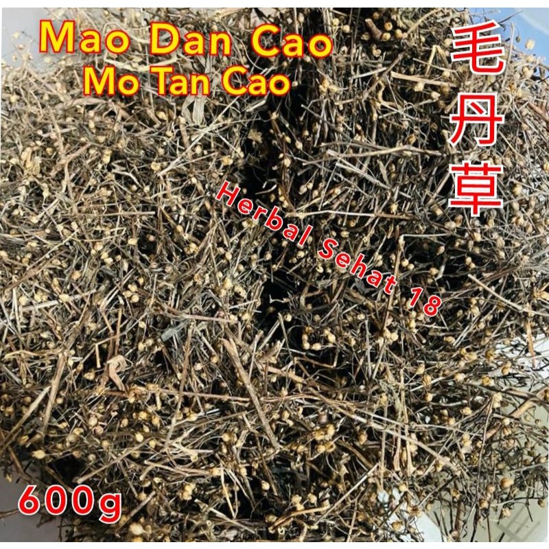

Mao Dan Cao / Mo Tan Cho / Motanco 600g Herbal Untuk Tipes