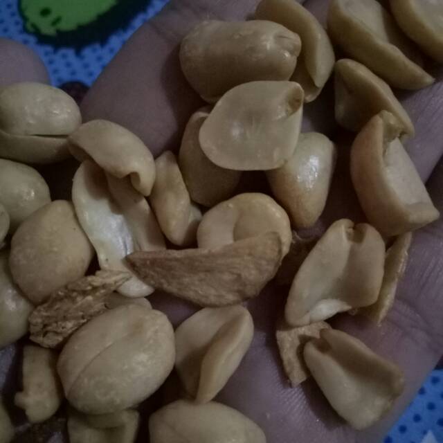 

Kacang Bawang
