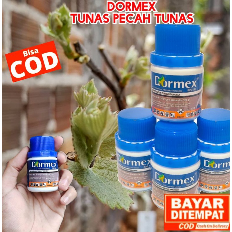 DORMEX PENUMBUH TUNAS ORIGINAL 520 SL HIDROGEN SIANAMIDA HYDROGEN CYANAMIDE