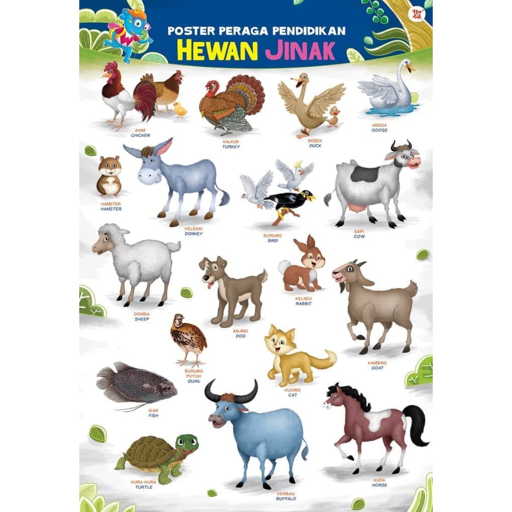 POSTER PERAGA PENDIDIKAN HEWAN JINAK