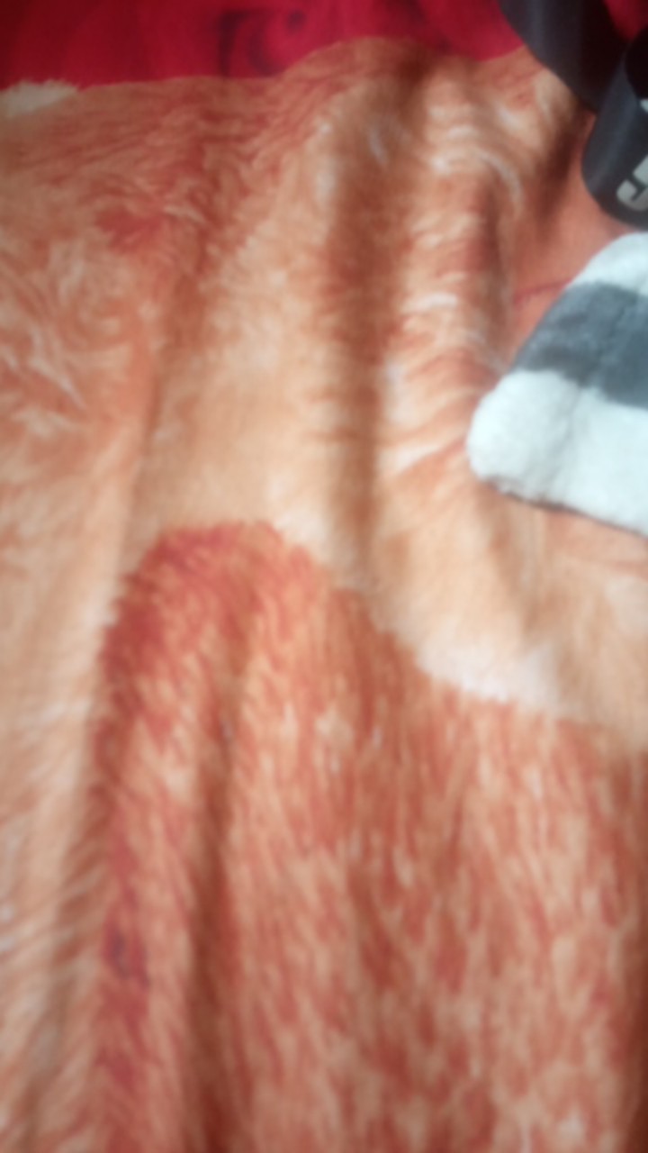 Batik Kalongan | Koko Batik Bordir Size S M L Xl Xxl Lengan Panjang