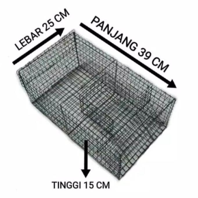 perangkap tikus massal jebakan tikus jumbo