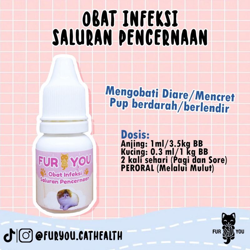 kittypetshop21|| obat pup berdarah berlendir pada kucing