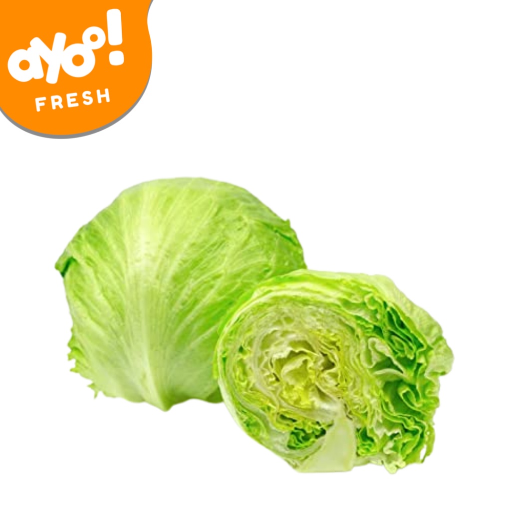 Jual Lettuce Iceberg Selada Bokor 250 G 450 G Shopee Indonesia