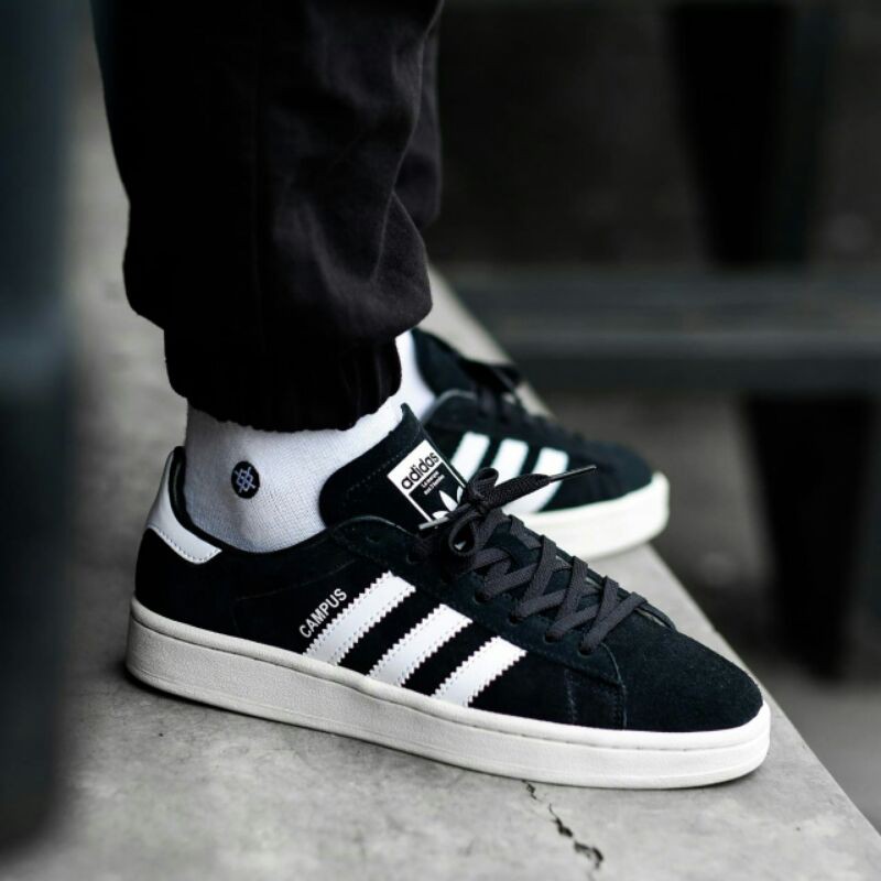 adidas campus 6