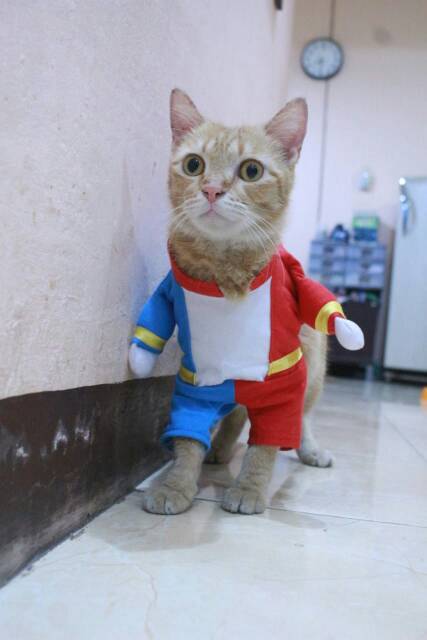 Kostum harley quinn lucu untuk kucing atau anjing / baju kucing murah size S M L XL