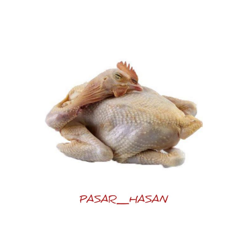 

PASAR HASAN | 1 Ekor Utuh Ayam Kampung Asli | Sayur Online | Ayam Segar