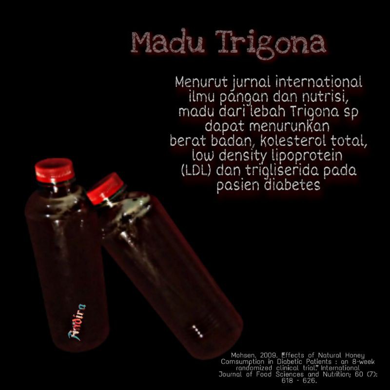 

Madu Propolis- Trigona Murni asli asal NTB 100% 500 ml, 600 ml