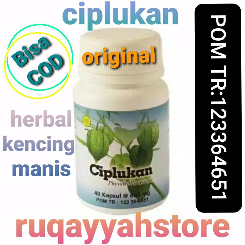 ciplukan kapsul ekstrak 40 kapsul|ciplukan herbal insani original
