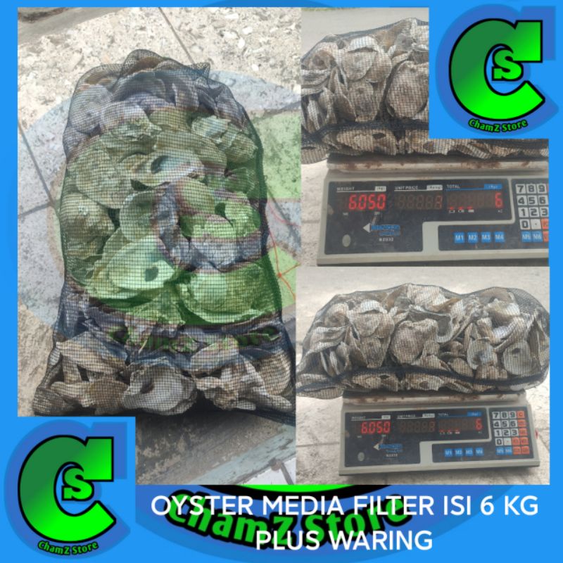 oyster media filter koi isi 6kg plus waring / oyster kulit kerang tiram media filter kolam / oyster media filter kolam / oyster