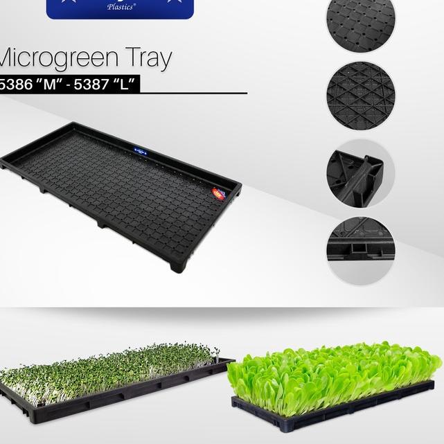 ۞ Tray semai padi tray semai microgreen wheat grass size L 5387H Tray Semai Microgree Grosir ❇