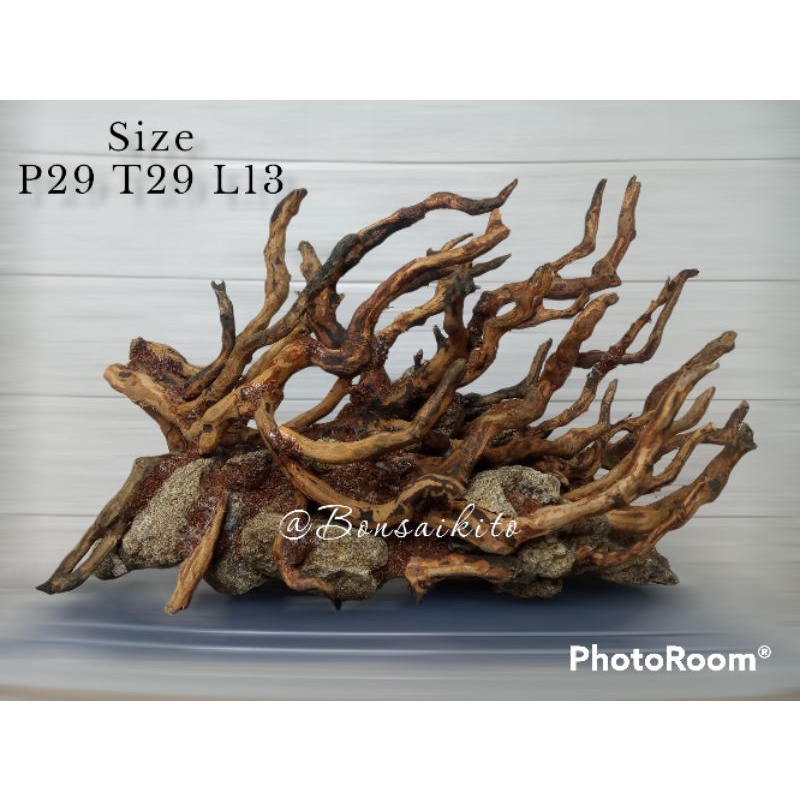 hardscape natural style aquascape