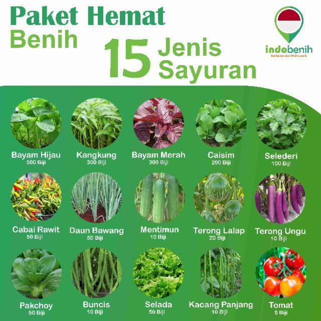 Biji Benih Sayur Daun Harga Richard Paterson