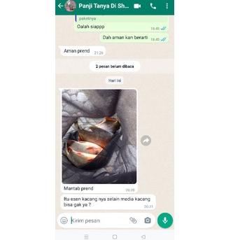 Banyak Dipakai.. GM essen KCG ikan bawal media kacang