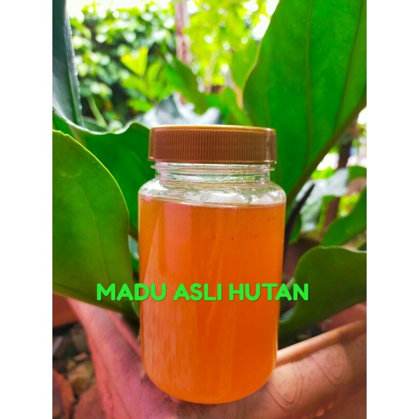 

MADU HUTAN ASLI MURNI 100% ORIGINAL