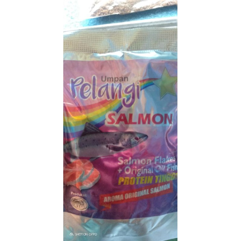 pelangi salmon
