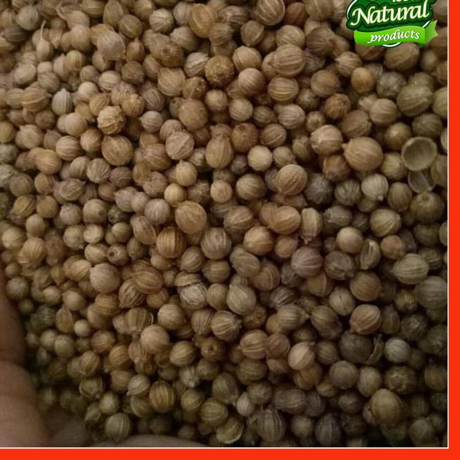 

Grosir❄️ Ketumbar Hitam Asli Atasi Darah tinggi Jantung Kolesterol Peredaaran darah stroke sakit kepala 50g | Termurah dan terbaik | Terbaru dan terlaris