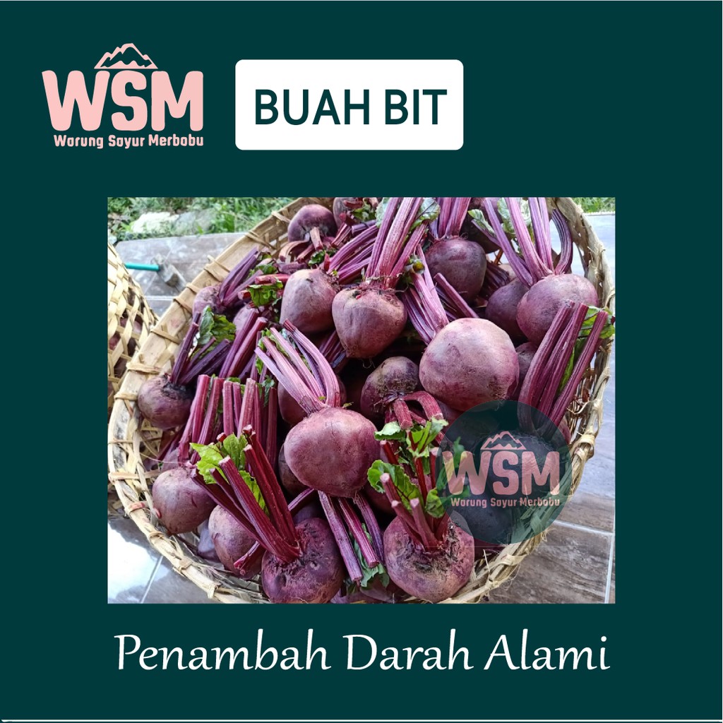 

1KG/BUAH BIT | UMBI BIT | BEET ROOT | PENAMBAH DARAH ALAMI | FRESH