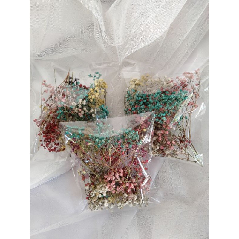 Dried Baby Breath Petal rainbow Baby breath kerin