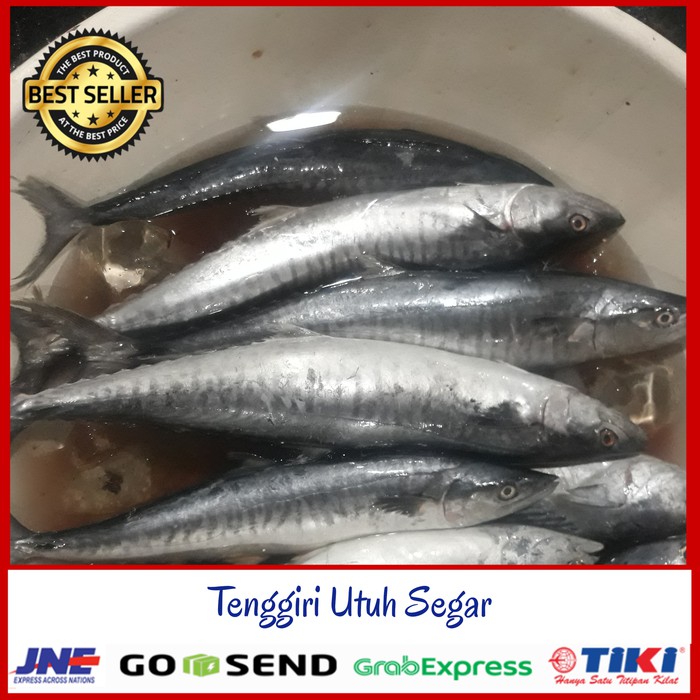 

Ikan Tenggiri segar Pempek/ Tenggiri Pempek / Tenggiri Fresh Murah