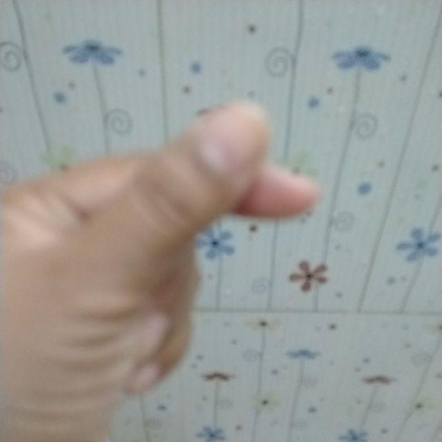 Tanaman Hias Bambu Rejeki Mini 3 Susun