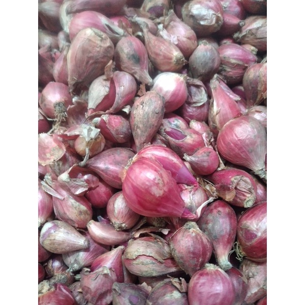 

bawang merah