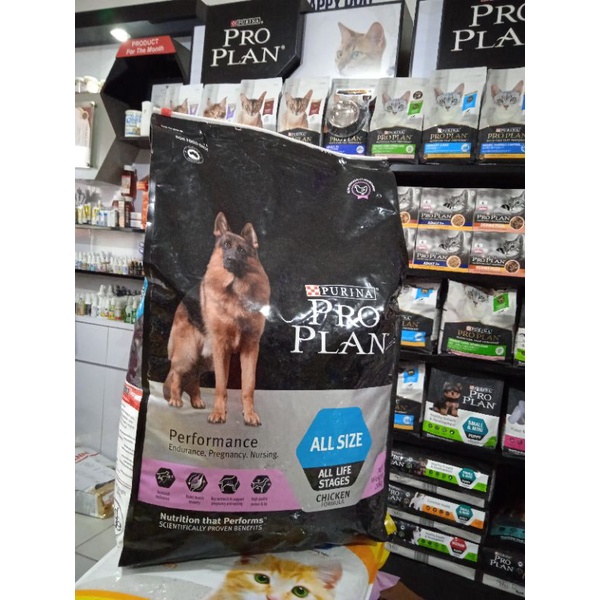 Dog food Proplan dog performance allsize chicken 20kg/ proplan dog performance