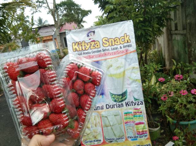 Buah Strowberry Segar Shopee Indonesia