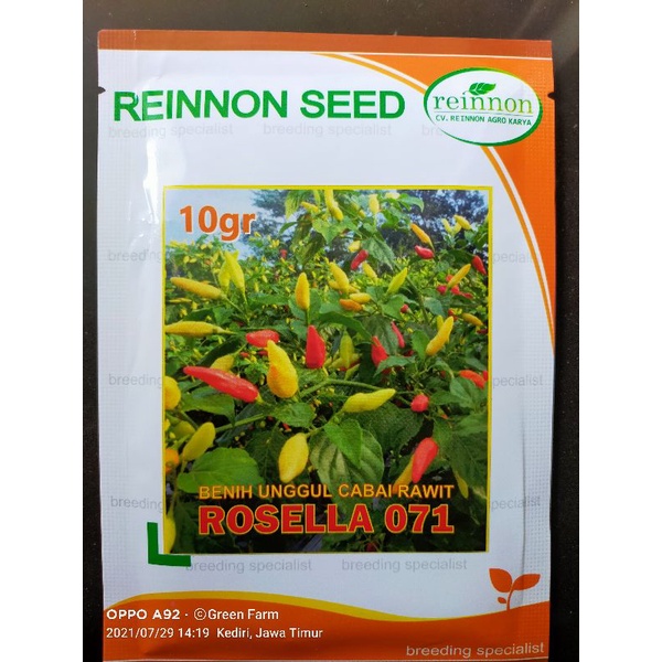 Cabe Rosella 071 Crm Unggul Tahan Virus Kemasan 10gr Buah Lebat Tahan Simpan Tipe Ori 212 Rosela Original Pabrik