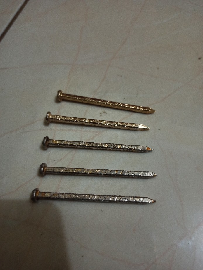 Paku Bumi Rajah Besi Kuning