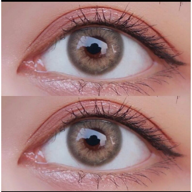 Softlens Fairy DNA Hazel / KONTAK LENSA