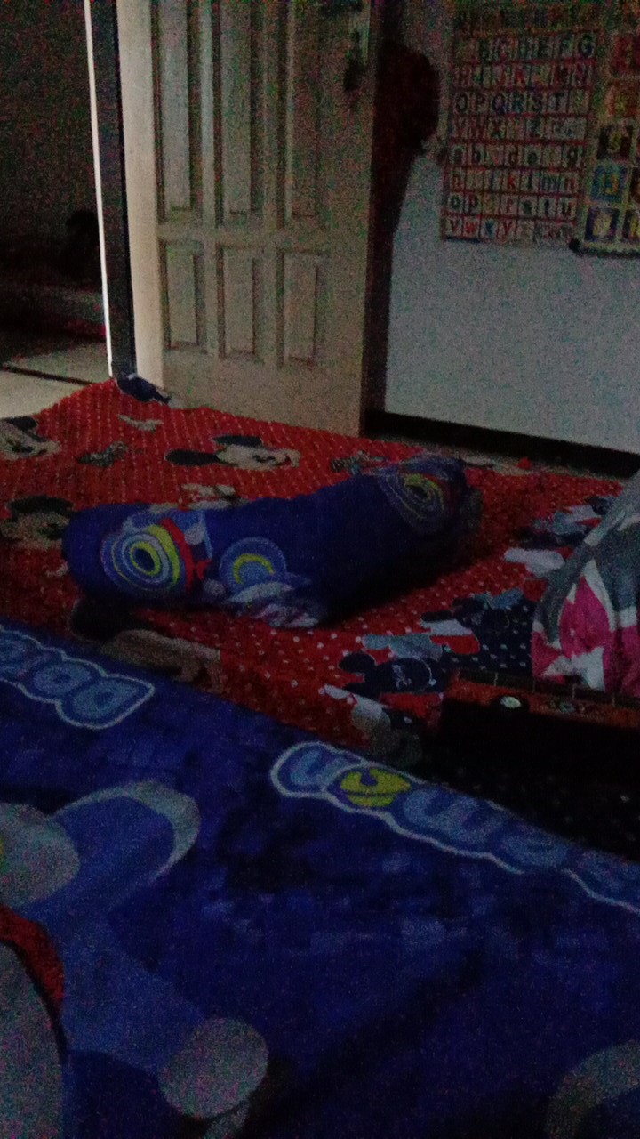 Sarung Cover Kasur Inoac Tebal 5101520