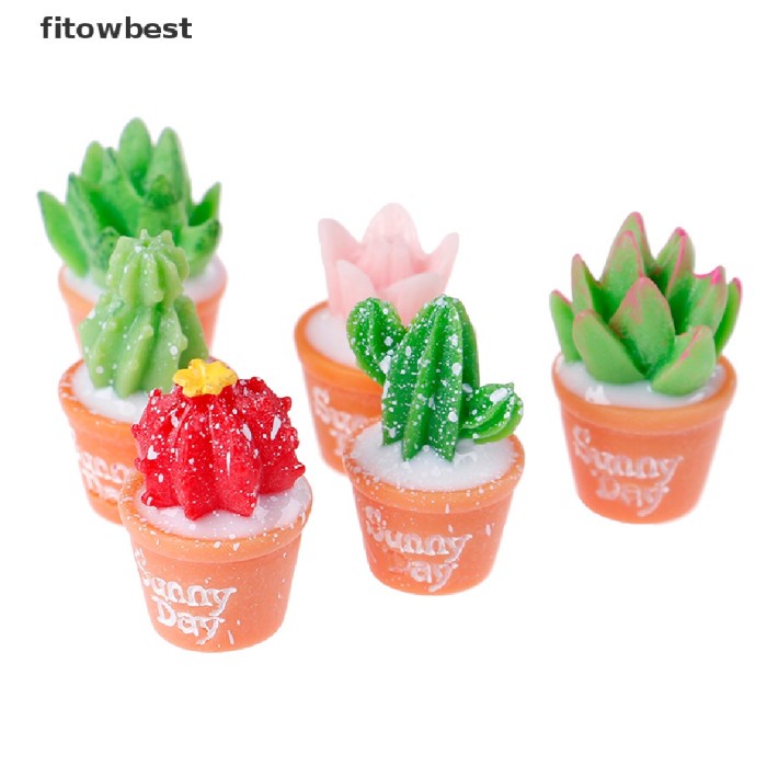 Hot Sale On628 Id 5Pcs Set Man Miniatur Kaktus Bonsai Hortikultura Bahan Rin Un Terlaris