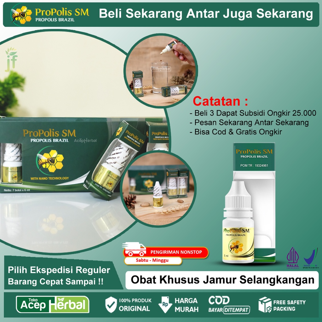 Jual Obat Gatal Selangkangan Berjamur Ruam Eksim Alergi Kudis Kurap ...